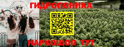 прущий лед Аша