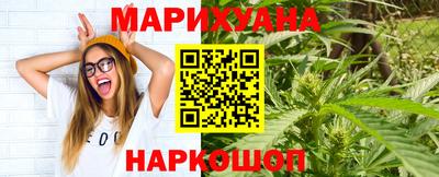 индика Ачхой-Мартан